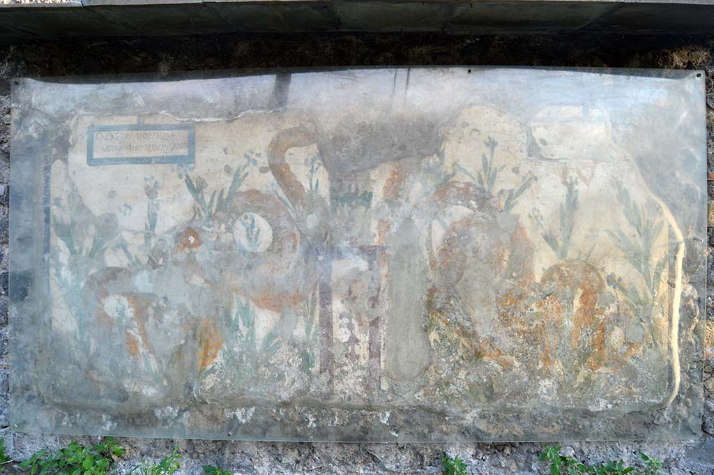 Painted street shrine on the wall at V.6.19. December 2005.