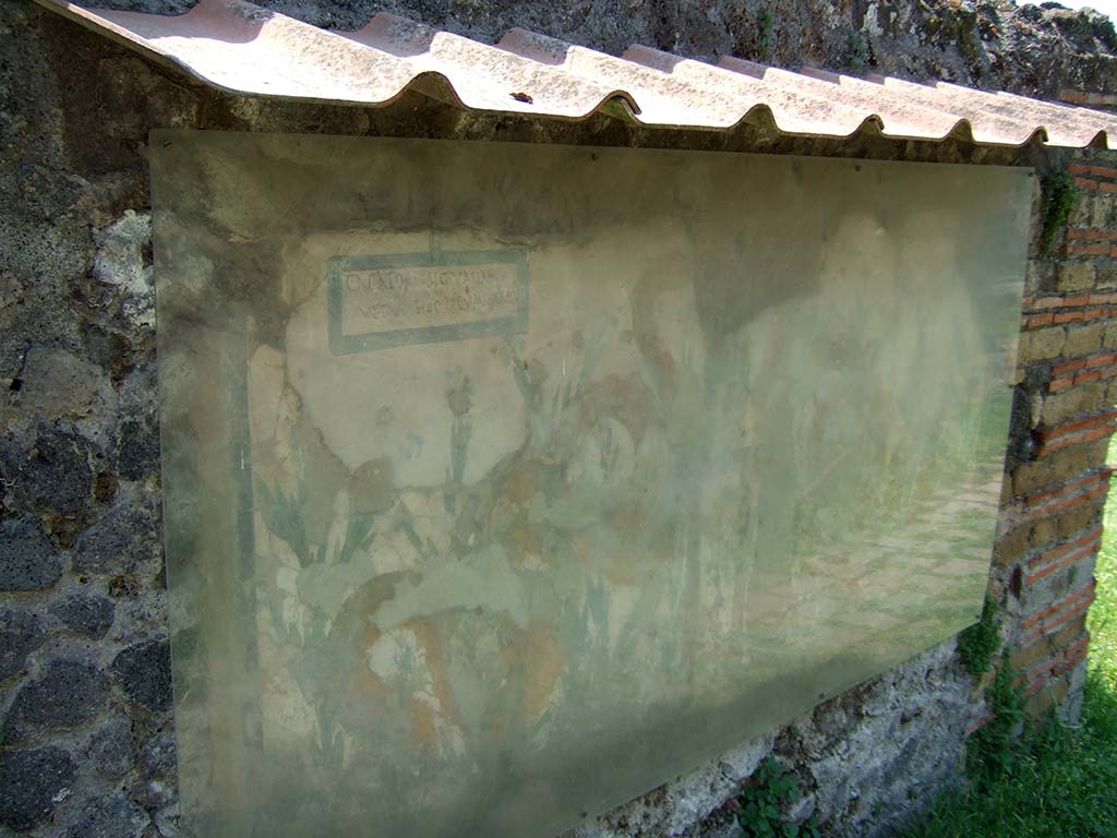 Left hand side of painted street shrine on the wall at V.6.19. December 2005.