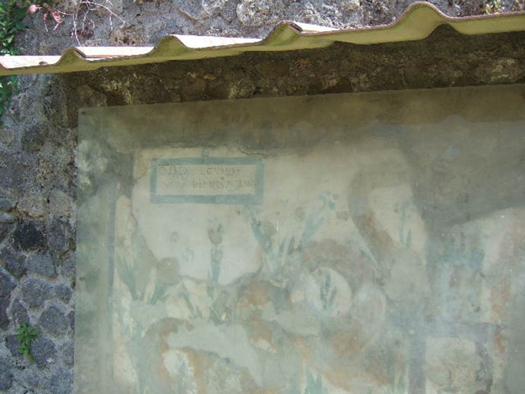 Painted street shrine on the wall at V.6.19. December 2005.