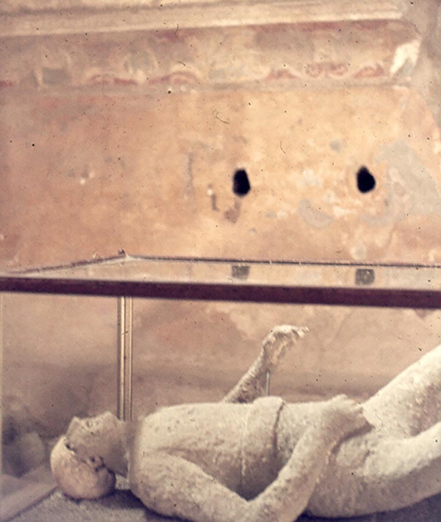 Victim 11. January 1977. Cast on display in the west end of the apodyterium of VII.5.24 the Forum Baths.
Photo courtesy of David Hingston.