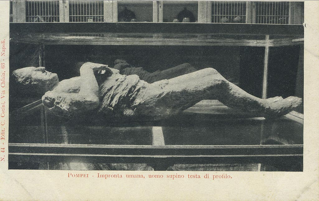 Pompeii Victim 13 found outside the Stabian Gate.
Old undated postcard by Cotini, no. 44, showing human plaster cast made on 11th October 1889, and on display in the Antiquarium in this photo.
Photo courtesy of Rick Bauer.