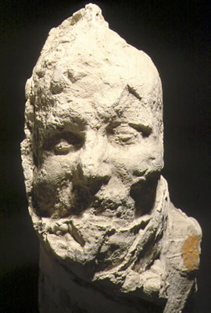Victim 16. Boscoreale, Villa della Pisanella. 1895. Torcularium.
The victim was part of a group of three who died one on top of the other. The victim had her head on the bench in room "a" inside room (P), and part of her body on the sides of cast no. 17 from which she was facing away. Furthermore, her body covered the lower part of victim no. 87.
The body was found in 1895, in the torcularium of the Villa del Tesoro, in località Pisanella, Boscoreale.
Antoine Heron de Villefosse hypothesised that she was the owner of the villa and was named Maxima since that name was incised 45 times on the silver found in the cistern of the torcularium. Finally, near the window of the room was the skeleton of a dog.
She had folds of a probable shawl over the mouth and chin, which appears to be knotted at the nape of the neck.
The victim was probably a female of 20 years of age or over.
See Osanna, N., Capurso, A., e Masseroli, S. M., 2021. I Calchi di Pompei da Giuseppe Fiorelli ad oggi: Studi e Ricerche del PAP 46, p. 353-4, Calco n. 16.