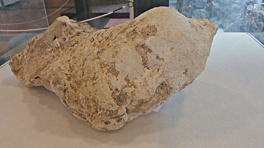 Victim 16. Villa della Pisanella, Boscoreale. December 2018. Torcularium P, plaster-cast of a female head. Photo courtesy of Giuseppe Ciaramella.
Boscoreale Antiquarium inv. no 25898.