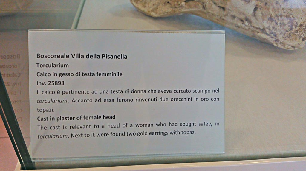 Victim 16. Villa della Pisanella, Boscoreale. December 2018.
Torcularium P, information card from Boscoreale Antiquarium. Photo courtesy of Giuseppe Ciaramella.
The gives the inventory number of 25898.
Osanna et al give the inventory number as 90538.
See Osanna, N., Capurso, A., e Masseroli, S. M., 2021. I Calchi di Pompei da Giuseppe Fiorelli ad oggi: Studi e Ricerche del PAP 46, p. 353 Calco n. 16.