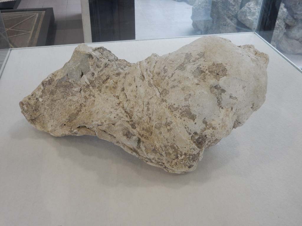 Victim 16. Villa della Pisanella, Boscoreale. May 2018.
Torcularium P. Plaster-cast of the head of a woman, with raised hair and drapery around her neck and mouth.
Next to it were found two gold earrings with topaz.
Now in Boscoreale Antiquarium, inventory number 25898. Photo courtesy of Buzz Ferebee.