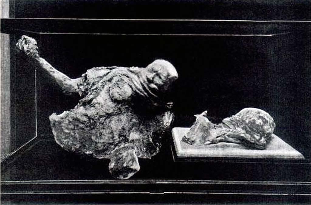 Victim 18 on left and victim 16 on right. Boscoreale, Villa della Pisanella. 1923. Torcularium.
Body cast of head and abdomen of victim 18 and the head of a woman, victim 16, in Pompeii Antiquarium.
See Sogliano, A., 1923. Guida di Pompei: 3rd ed. Milano, p. 5.
The torso was destroyed in the bombing of 1943 and the woman's head damaged and only partly recovered.
See Garcia y Garcia, L., 2006. Danni di guerra a Pompei. Rome: L’Erma di Bretschneider, p. 198, fig. 463.