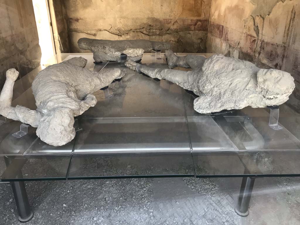 VII.1.47 Pompeii. April 2019. Victims 1, on right, and victim 4, on left.
Plaster casts on display in triclinium 8, these were found in the Vicolo degli Scheletri, and not in this house.
Photo courtesy of Rick Bauer.