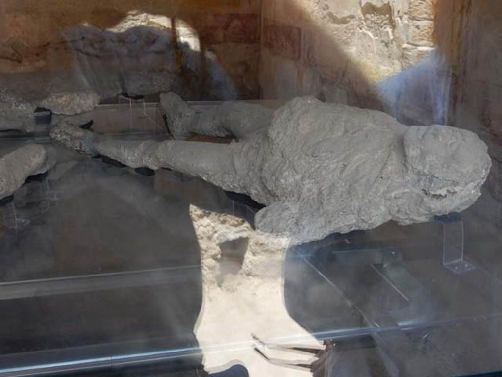VII.1.47 Pompeii. May 2017. Victim 1.
Plaster cast of large, strong male on display in triclinium 8 but found in the Vicolo degli Scheletri.
Photo courtesy of Buzz Ferebee.