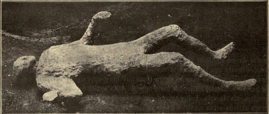 I.6.2 Pompeii. May 1915. Victim number 24. Body cast made in the vicolo between I.6 and I.10.
See Notizie degli Scavi di Antichità, 1915, p. 288, fig. 4.