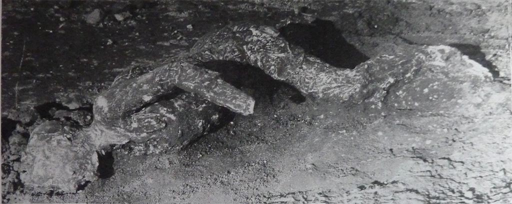 Victim 29. Hypothesis 2: The body is that found in the south portico inside the Palestra Grande near the latrine wall on the 25-26 October 1937.
See Osanna, N., Capurso, A., e Masseroli, S. M., 2021. I Calchi di Pompei da Giuseppe Fiorelli ad oggi: Studi e Ricerche del PAP 46, p. 387 Calco n. 29.
Two bodies were found towards the eastern end of the southern ambulatory and a cast could be made because they were both lying in the high layer of ash.
Maiuri described first as “The one was a beautiful young man's body with agile legs knocked down on the portico floor at the first fall of the ashes.”
And also, according to Maiuri “the handsome body of a young man, one of those strong, agile young men from Campania, with athletic legs just made for running and for the last gasp of the race”. The victim had been identified as an athlete, also because of the discovery near his body of bronze strigils, usually used by gymnasts.”
The second was victim number 28, the crouching man.
See Notizie degli Scavi, Anno 1939, Fascicoli 7, 8, 9, p. 216.