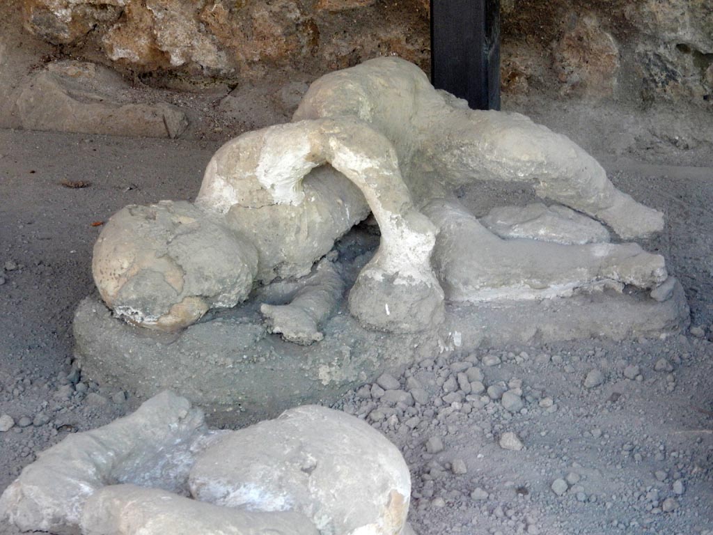 I.21.6 Pompeii. May 2016. Detail of plaster cast of victim 36. Photo courtesy of Buzz Ferebee.
Victim 36 is a child aged no more than 6 years old.
No traces of clothing were found.
The victim was found between the 17th and 22nd of April at about 17.9m from the southern wall and approximately 1m from the eastern wall.
The body was found aligned with victim 35 and victim 37 and parallel with victim 39.
See Osanna, N., Capurso, A., e Masseroli, S. M., 2021. I Calchi di Pompei da Giuseppe Fiorelli ad oggi: Studi e Ricerche del PAP 46, p. 405-7, Calco n. 36.

