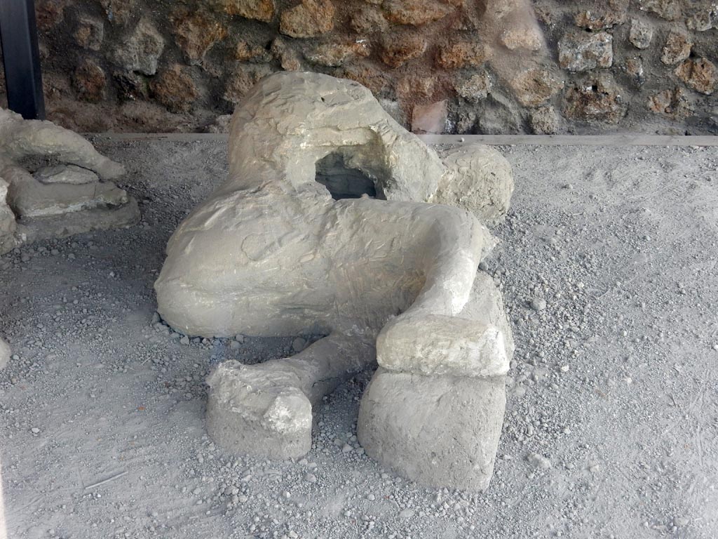 I.21.6 Pompeii. May 2015. Plaster cast of victim 38. Photo courtesy of Buzz Ferebee.
Victim 38 is a male of over 20 years of age.
The swelling on the back of the body could be due, in part, to the presence of a cloak or a large bag, while there appears to be something on the left ankle, perhaps the laces of a sandal.
The body was found between the 17th and 22nd of April at about 17.9m from the southern wall and approximately 1m from the eastern wall.
Victim 38 was found aligned with victims 36 and 37.
See Osanna, N., Capurso, A., e Masseroli, S. M., 2021. I Calchi di Pompei da Giuseppe Fiorelli ad oggi: Studi e Ricerche del PAP 46, p. 411-412, Calco n. 38.