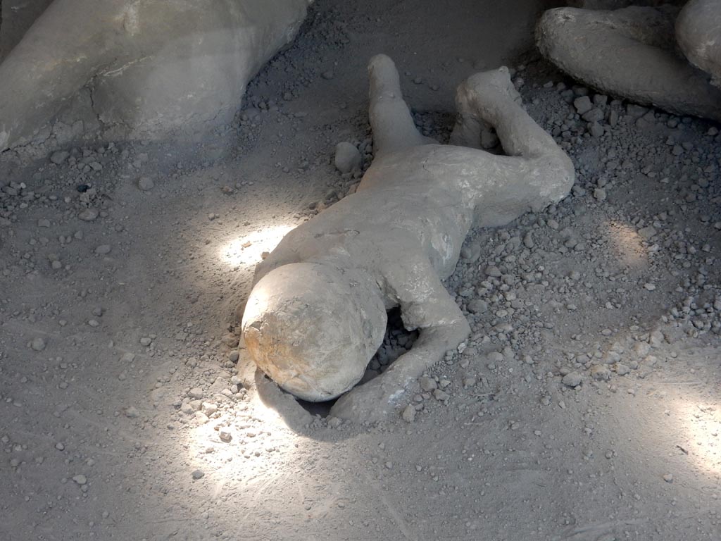 I.21.6 Pompeii. May 2016. Detail of plaster cast of the impression of a body. Victim 40. Photo courtesy of Buzz Ferebee.
Victim 40 is a child aged under 6 years.
The body was found on 27th April 1961, located about 3m, towards the north-east, from the group with victim 39.
Perhaps some traces of drapery can be seen on the neck and abdomen.
See Osanna, N., Capurso, A., e Masseroli, S. M., 2021. I Calchi di Pompei da Giuseppe Fiorelli ad oggi: Studi e Ricerche del PAP 46, p. 416-7, Calco n. 40.