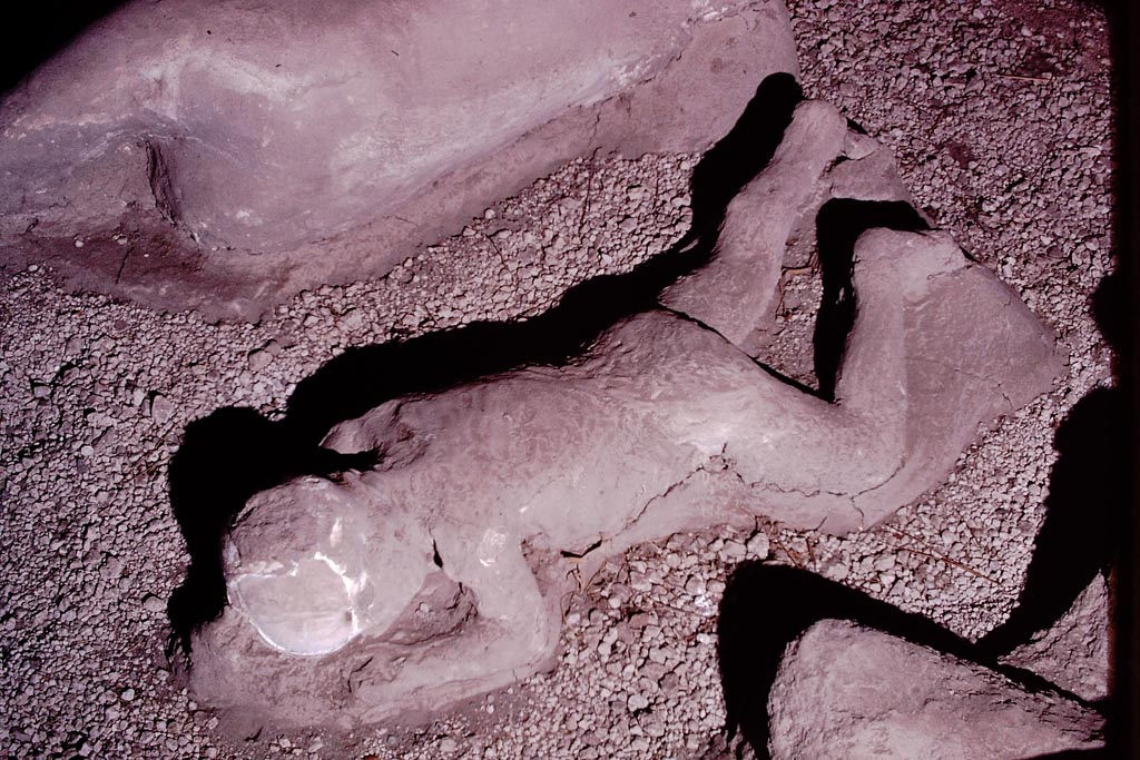 I.21.6 Pompeii. 1974. Detail of a plaster cast of victim 40. Photo by Stanley A. Jashemski.
Source: The Wilhelmina and Stanley A. Jashemski archive in the University of Maryland Library, Special Collections (See collection page) and made available under the Creative Commons Attribution-Non Commercial License v.4. See Licence and use details.
J74f0229