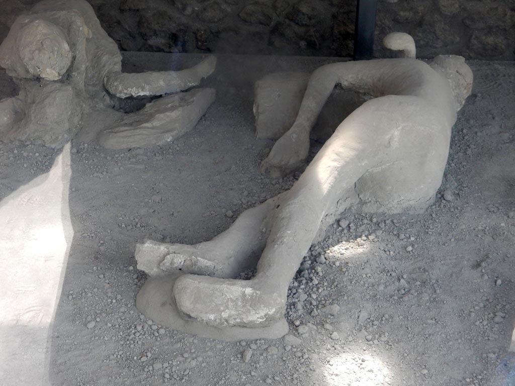 I.21.6 Pompeii. May 2015. Detail of plaster cast of the impression of a body. Victim 41. Photo courtesy of Buzz Ferebee.
Victim 41 is a female aged 20 years or over.
The body was found on 27th April 1961, located about 3m, towards the north-east, from the group with victim 39.
Maiuri had originally imagined it was the father of the group containing victims 40 and 42. It is now identified as a female.
See Osanna, N., Capurso, A., e Masseroli, S. M., 2021. I Calchi di Pompei da Giuseppe Fiorelli ad oggi: Studi e Ricerche del PAP 46, p. 418-9, Calco n. 41.