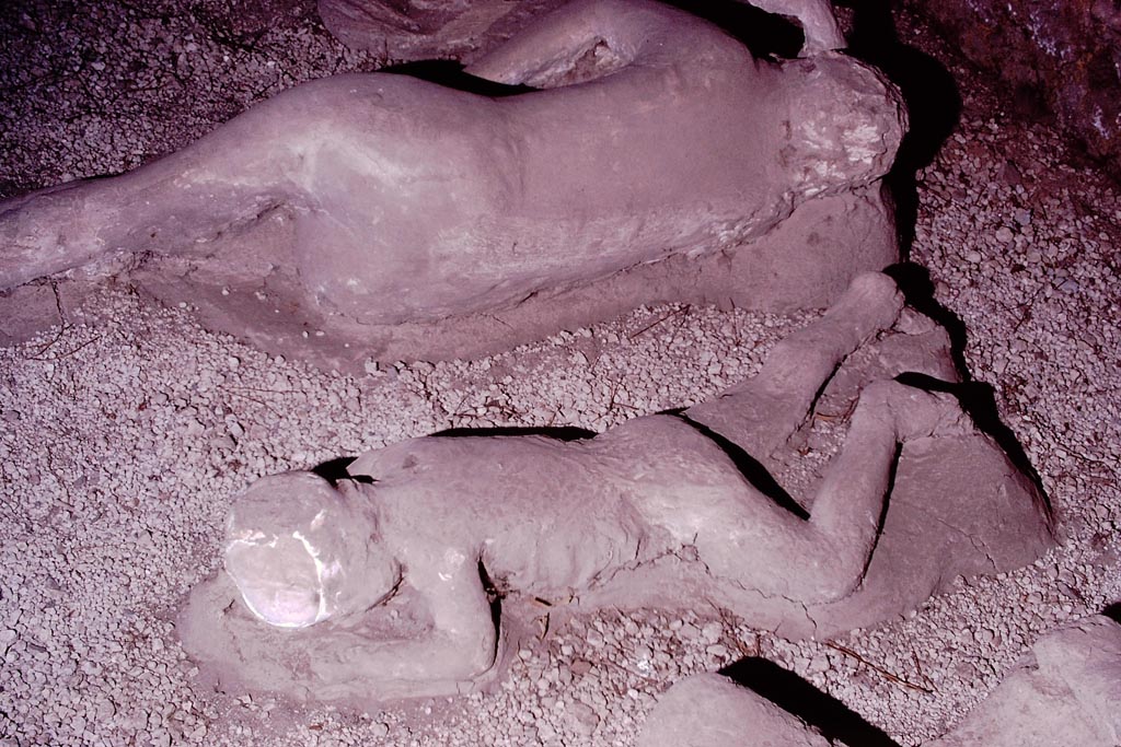 I.21.6 Pompeii. 1974. Detail of a plaster cast of impression of a bodies. Victims 40, front and victim 41, rear. Photo by Stanley A. Jashemski.
Source: The Wilhelmina and Stanley A. Jashemski archive in the University of Maryland Library, Special Collections (See collection page) and made available under the Creative Commons Attribution-Non Commercial License v.4. See Licence and use details.
J74f0233