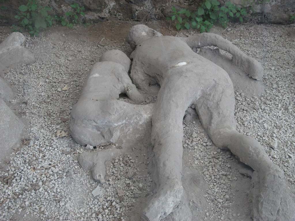 I.21.6 Pompeii. May 2010. Detail of plaster casts of two bodies, victim 44, left and victim 45, right.
Victim 44 was a male aged between 7 and 12 years old.
On the surface of the right side of the body there are traces similar to wavy drapery, but it is likely that these are rather later retouching made to the cast.
Victim 44 was found near the triclinium between the 31st of May and the 7th of June 1961.
Victim 43 was in front of victims 44 and 45, beyond which were victims 46 and 47.
Maiuri imagined him as the son of the couple who were victims 43 and 45.
See Osanna, N., Capurso, A., e Masseroli, S. M., 2021. I Calchi di Pompei da Giuseppe Fiorelli ad oggi: Studi e Ricerche del PAP 46, p. 424-5, Calco n. 44.