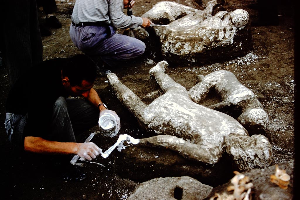 1.21.6 Pompeii. 1961. Putting the last gentle touches to the plaster cast. Victims 45 and 44. Photo by Stanley A. Jashemski.
Source: The Wilhelmina and Stanley A. Jashemski archive in the University of Maryland Library, Special Collections (See collection page) and made available under the Creative Commons Attribution-Non-Commercial License v.4. See Licence and use details.
J61f0387