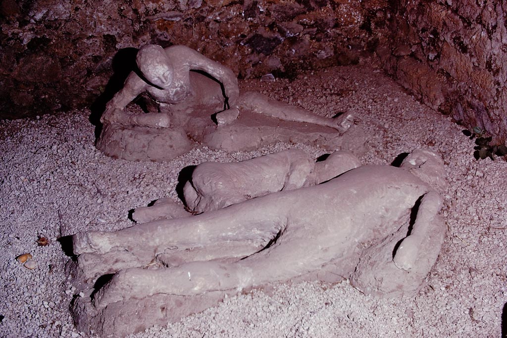 I.21.6 Pompeii. 1974. Detail of plaster casts of impressions of three bodies. Left to right, Victim 43, victim 44 and victim 45. Photo by Stanley A. Jashemski.
Source: The Wilhelmina and Stanley A. Jashemski archive in the University of Maryland Library, Special Collections (See collection page) and made available under the Creative Commons Attribution-Non-Commercial License v.4. See Licence and use details.
J74f0216