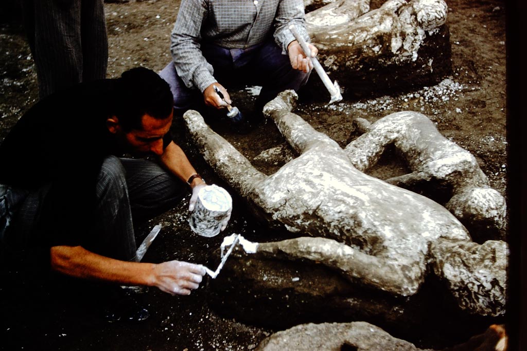 1.21.6 Pompeii. 1961. Putting the last gentle touches to the plaster cast of victims 45 and 44. Photo by Stanley A. Jashemski.
Source: The Wilhelmina and Stanley A. Jashemski archive in the University of Maryland Library, Special Collections (See collection page) and made available under the Creative Commons Attribution-Non-Commercial License v.4. See Licence and use details.
J61f0385