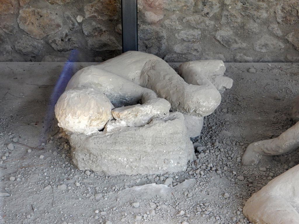 I.21.6 Pompeii. May 2016. Detail of a plaster cast of victim 46. Photo courtesy of Buzz Ferebee.
Victim 46 was a male aged over 20 years.
The body was found near the triclinium between the 31st of May and the 7th of June 1961.
Victim 43 was in front of victims 44 and 45, beyond which were victims 46 and 47.
Maiuri imagined that he was the adolescent son of the couple victim 43 and victim 45.
See Osanna, N., Capurso, A., e Masseroli, S. M., 2021. I Calchi di Pompei da Giuseppe Fiorelli ad oggi: Studi e Ricerche del PAP 46, p. 428-9, Calco n. 46.