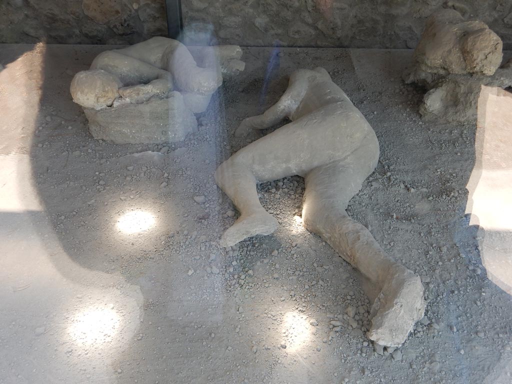 I.21.6 Pompeii. May 2016. Plaster cast of victim 47 (centre). Photo courtesy of Buzz Ferebee.
Victim 47 was a female aged over 20 years.
The body was found near the triclinium between the 31st of May and the 7th of June 1961.
Victim 43 was in front of victims 44 and 45, beyond which were victims 46 and 47.
Maiuri imagined that he was the twenty year old son of the couple victim 43 and victim 45. Victim 47 is now identified as probably being a female.
See Osanna, N., Capurso, A., e Masseroli, S. M., 2021. I Calchi di Pompei da Giuseppe Fiorelli ad oggi: Studi e Ricerche del PAP 46, p. 430-1, Calco n. 47.