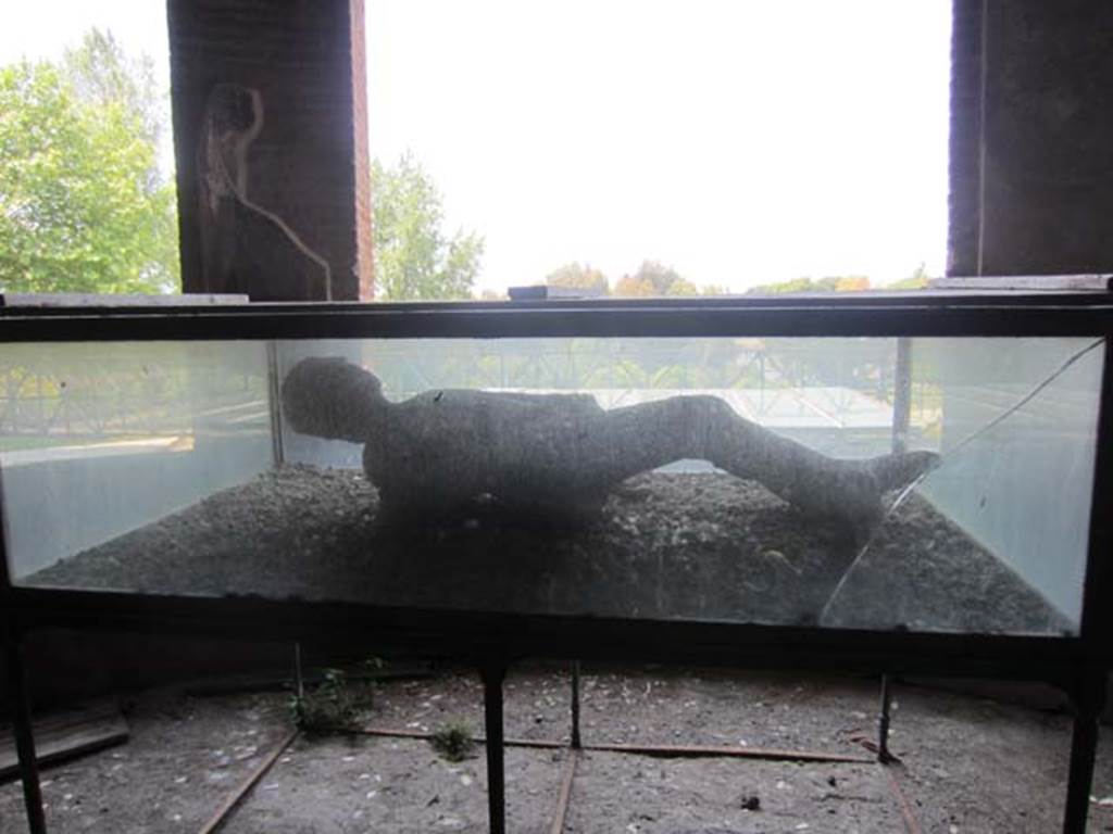 Victim 48. May 2012. Looking west towards a plaster cast made of victim, on display in oecus.
Photo courtesy of Marina Fuxa.