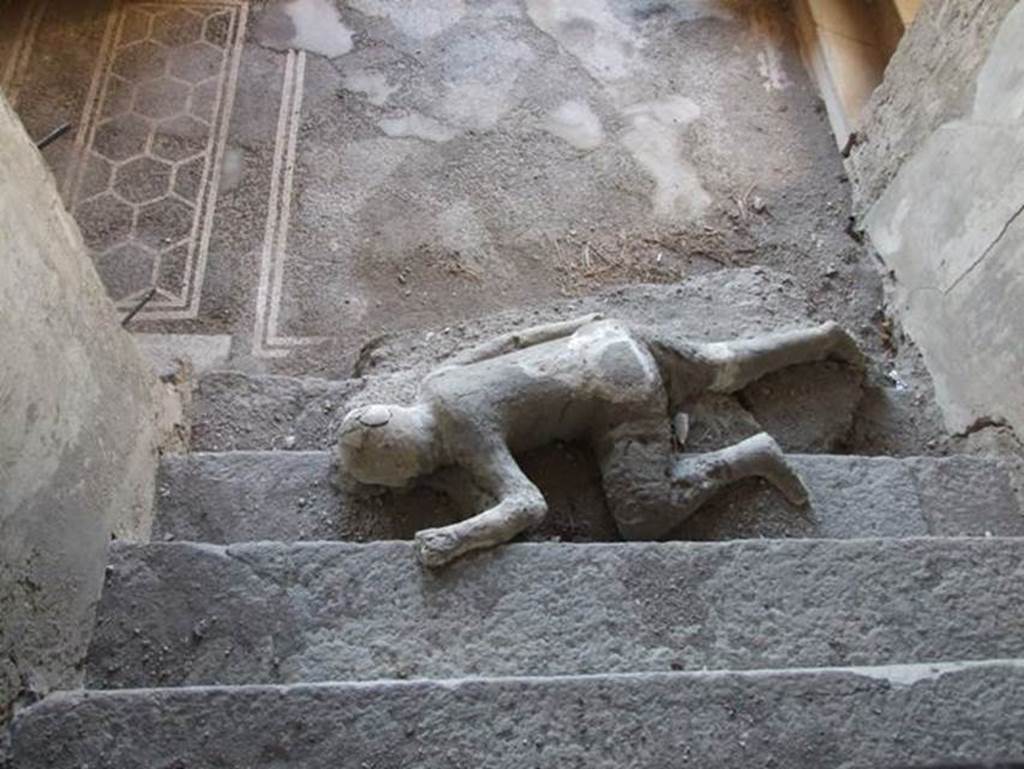 Victim 49. VII.16.17-22 Pompeii. December 2007. Looking down the stairs towards a plaster cast of body lying at foot of staircase.
Four people met their death in this house, three of them died huddled together on this staircase.
They were discovered in November 1961. It was possible to make casts of the group of three.
A copy of the plaster cast of the lowest of the three bodies remains where it was discovered.
The fourth skeleton was lying on the landing at the bottom of the stairs but only a photo remains of this skeleton.