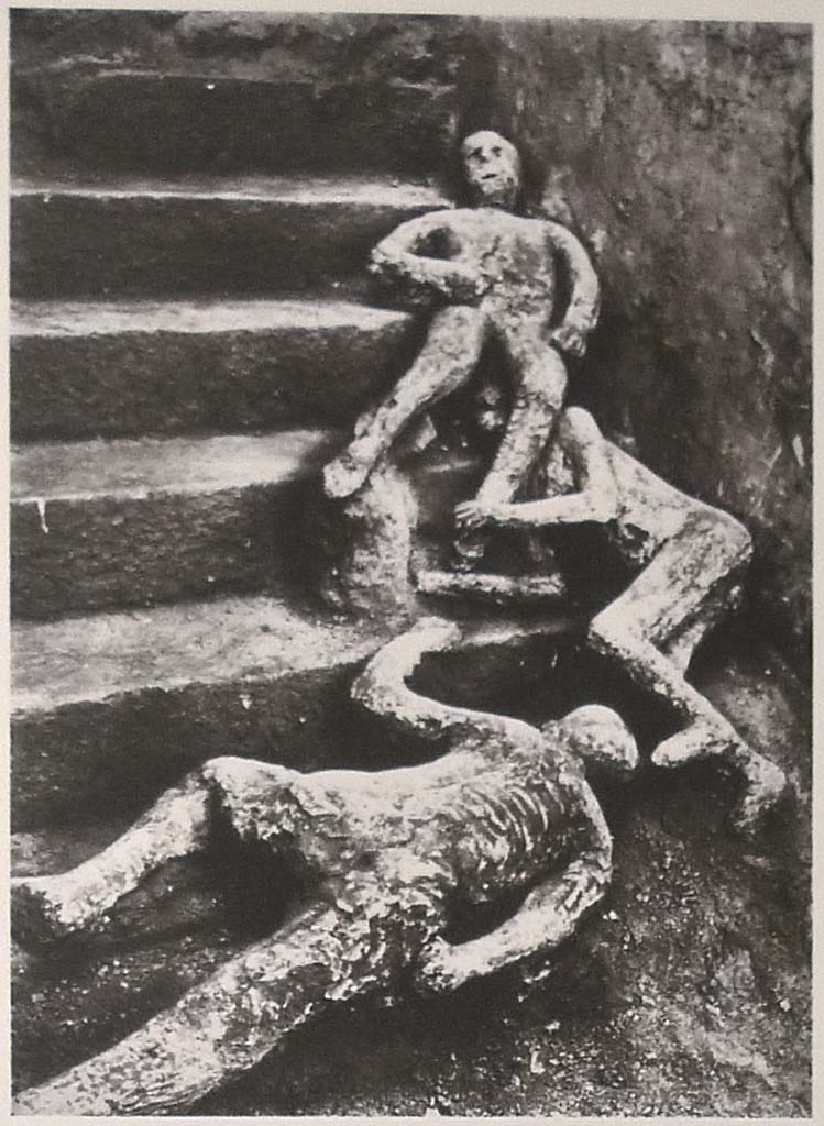 VII.16.17-22 Pompeii. 1961. Casts of three victims at the base of the stairs as shown on Boscoreale Antiquarium information board.
Victim 49 is at the bottom, Calco H is above and Victim 48 is at the top.
Photo courtesy of Michael Binns.
Victim 49 is a male of over 20 years of age.
There are folds of clothing in the cast of the left leg.
See Osanna, N., Capurso, A., e Masseroli, S. M., 2021. I Calchi di Pompei da Giuseppe Fiorelli ad oggi: Studi e Ricerche del PAP 46, p434, Calco n. 49.
