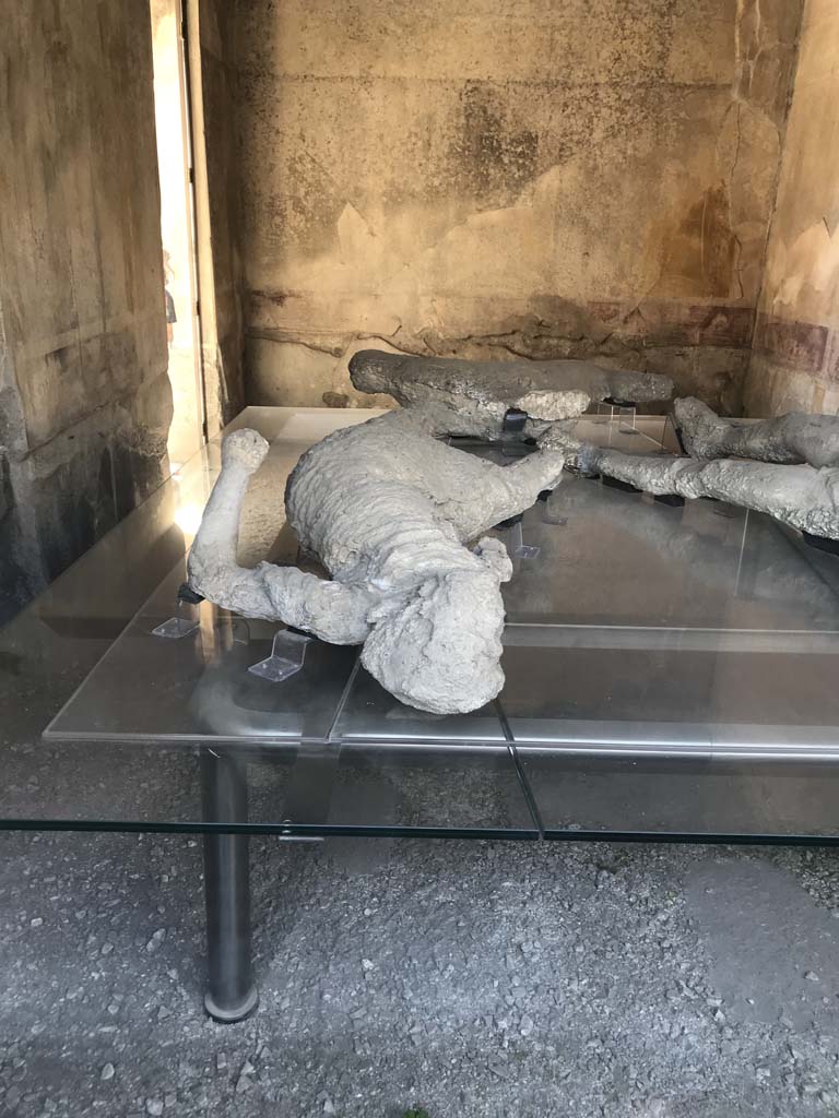 VII.1.47 Pompeii. April 2019. Room 8, looking across plaster-cast of victim 4, towards south-west corner, and west wall.
Photo courtesy of Rick Bauer.