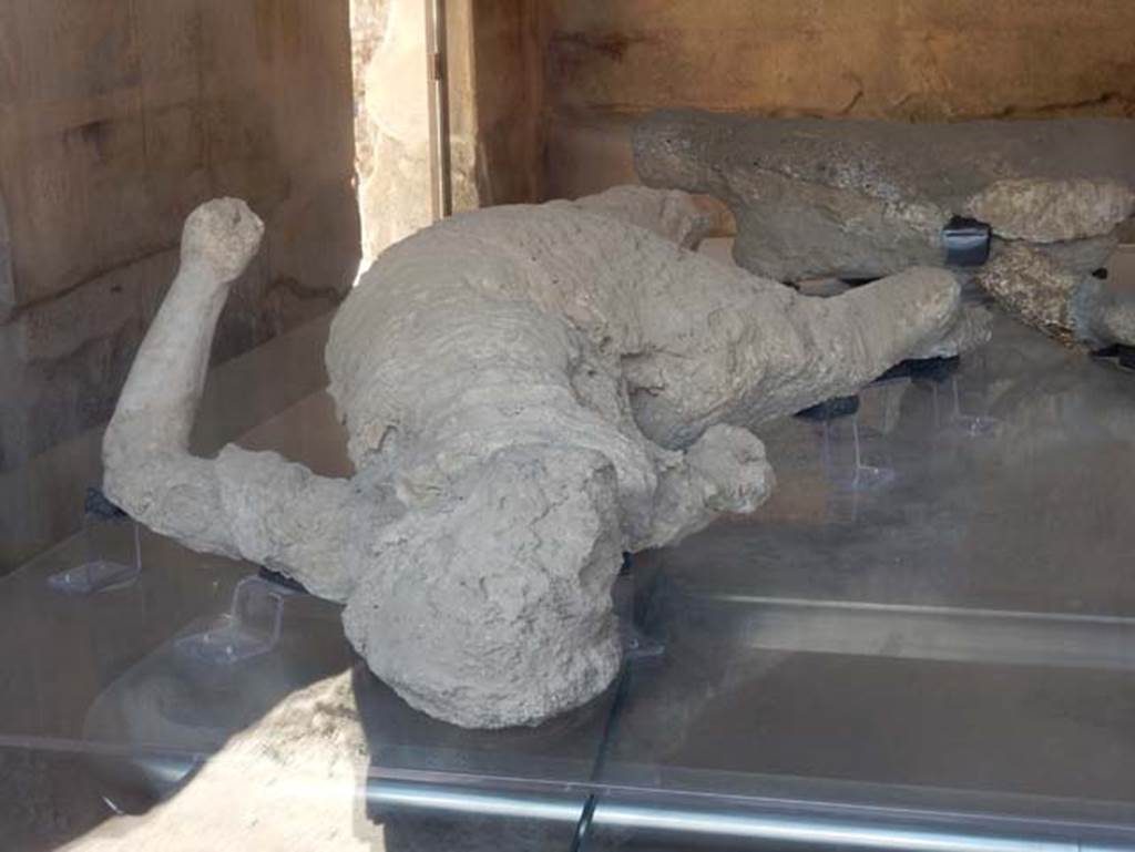VII.1.47 Pompeii. May 2017. Plaster-cast of victim 4.
Plaster cast of a female, on display in triclinium 8 but found in the Vicolo degli Scheletri.
Photo courtesy of Buzz Ferebee.