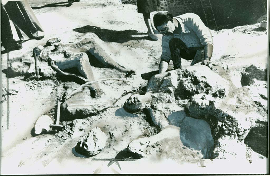 Porta Nola Pompeii. Press photo dated 18th September 1976 of body casts "Discovered this week on the outskirts of Pompeii".
The photo has been touched in in places for publication so it is difficult to be certain but comparing with the plan above could suggest: victim 56 rear to the left? Victim 57 with arm outstretched? Victim 61 on the lower right? Victim number 5 with the sheathed knife, recorded by De Caro, would have been in this group also.
Photo courtesy of Rick Bauer.
Victim 56 is an adult over 20 years of age, but the sex has not been determined.
The body was found between the 2nd of August and 21st September 1976 outside Porta Nola, near the tomb of M. Obellius Firmus.
The drapery of a woollen robe can be recognized on the bust, on the stomach, on both thighs and on the lower part of the right leg.
On the feet it seems possible to recognize traces of footwear (sandals?) that leave the toes exposed.
See Osanna, N., Capurso, A., e Masseroli, S. M., 2021. I Calchi di Pompei da Giuseppe Fiorelli ad oggi: Studi e Ricerche del PAP 46, p. 452-3, Calco n. 56.