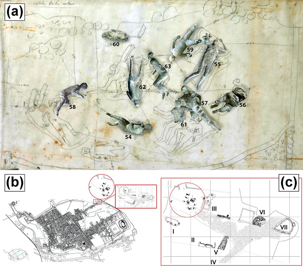 Victim 60. Location of casts from Porta Nola.
(a) Original position of some of the studied Porta Nola casts (#57, #62, #58, #54, #55). (b) Map of Pompeii. (c) Detail of casts discovery area (I: Burials of Praetorians; II: Modern Masonries; III: Tomb of Obellius Firmus; IV: Porta Nola; V: Leakpan; VI: Tomb of Esquilia Polla; VII: Anonymous Tomb).
Photo courtesy of The Casts of Pompeii Project. Use subject to CC BY 4.0 Deed
See Alapont L, Gallello G, Martinón-Torres M, Osanna M, Amoretti V, Chenery S, et al. (2023) The casts of Pompeii: Post-depositional methodological insights. PLoS ONE 18(8): e0289378, fig. 1. https://doi.org/10.1371/journal.pone.0289378