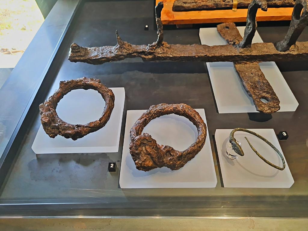 Victim 80. March 2024. Two iron rings were fixed to the victim's ankles, probably shackles (compedes), which suggested his identification with a slave; a bronze armlet was worn on his left forearm; these are shown here.
Photo courtesy of Giuseppe Ciaramella.
See Osanna, N., Capurso, A., e Masseroli, S. M., 2021. I Calchi di Pompei da Giuseppe Fiorelli ad oggi: Studi e Ricerche del PAP 46, p. 505-6, Calco n. 80.
The two iron rings are referred to in this catalogue, and on the Palaestra 2024 exhibition display card, as being found on victim 80, whereas they are usually displayed on victim 81, but are not mentioned in the catalogue for that victim.
See Osanna, N., Capurso, A., e Masseroli, S. M., 2021. I Calchi di Pompei da Giuseppe Fiorelli ad oggi: Studi e Ricerche del PAP 46, p. 507-8, Calco n. 81.
