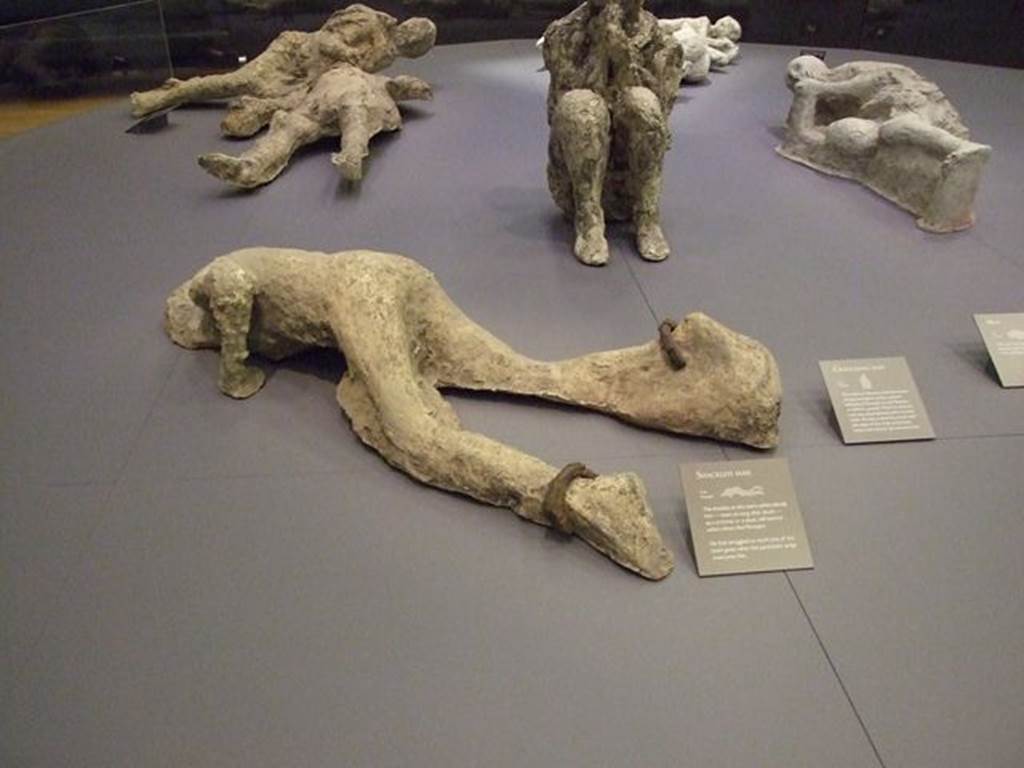 Victim 81. The Shackled Man. Porta Capua 2002.
The exhibition card says:
The shackles on this man's ankles identify him – even so long after death – as a criminal or a slave, left behind when others fled Pompeii.
He had struggled to reach one of the town gates when the pyroclastic surge overtook him.
Photographed at “A Day in Pompeii” exhibition at Melbourne Museum. September 2009.