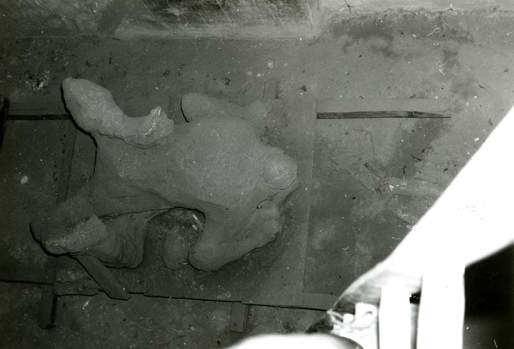 I.8.17 Pompeii. 1968. Casa dei Quattro Stili, cubiculum NE of atrium, cast of victim 85 from above.
This cast is not from this house.
Photo courtesy of Anne Laidlaw.
American Academy in Rome, Photographic Archive. Laidlaw collection _P_68_14_25.