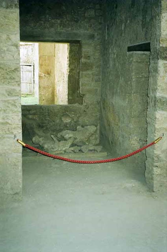I.8.17 Pompeii. June 2010. Looking into room 10 doorway with victims 84 and 85 inside.
Photo courtesy of Rick Bauer.