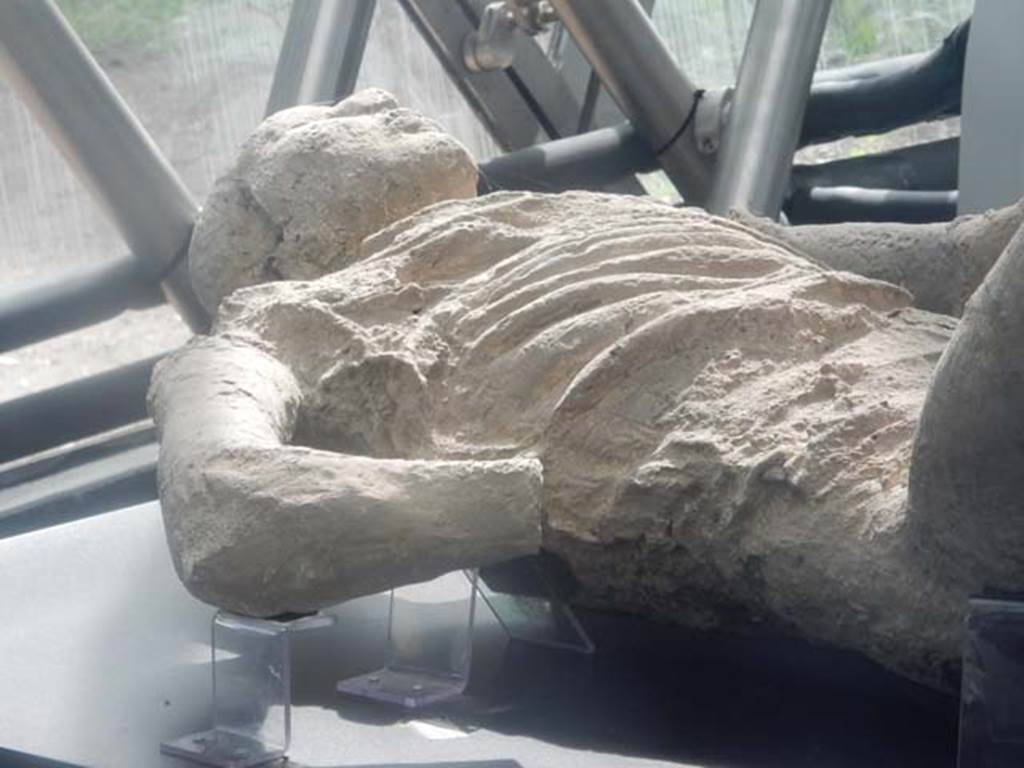 Pompeii. May 2018. Detail of plaster cast known as No.9. Courtesy of Buzz Ferebee.