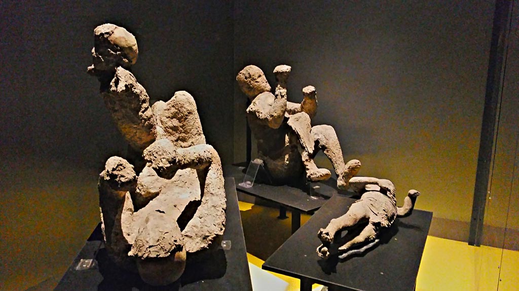 VI.17.42 Pompeii. Victims 50 to 53. 2018 or 2019.
Plaster-casts of a family group of four. On display in Antiquarium. Photo courtesy of Giuseppe Ciaramella.