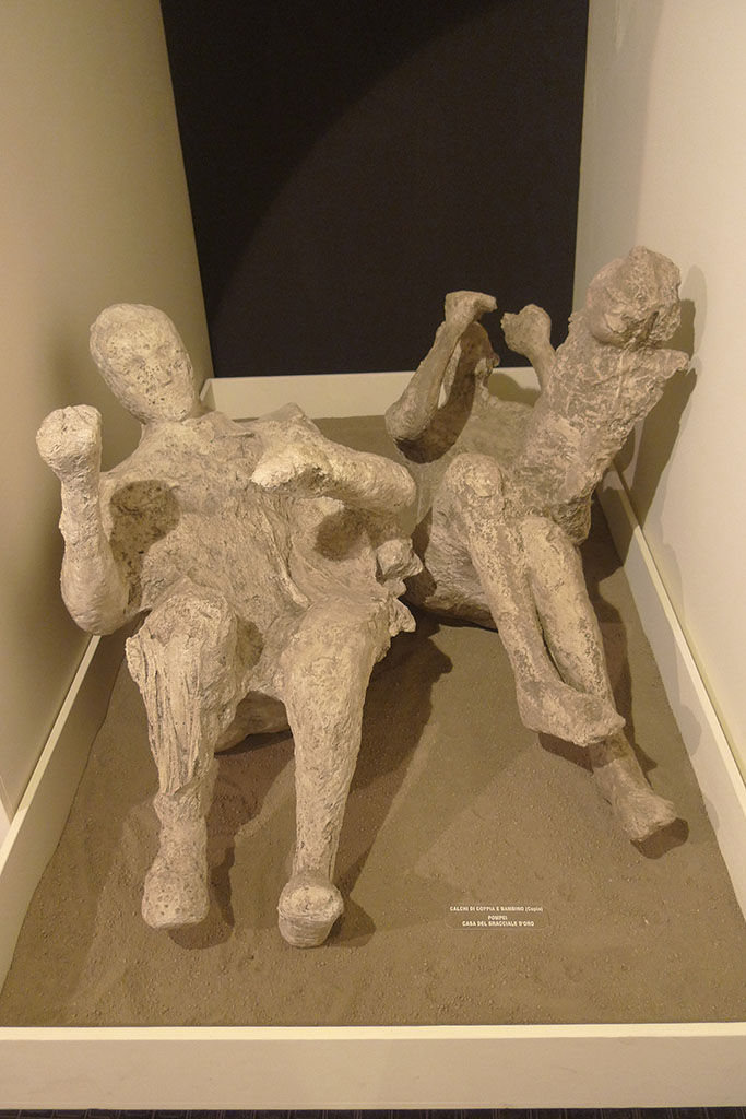 VI.17.42 Pompeii. Boscoreale Antiquarium 2011.
Group consisting of a man (victim 50) and a man (52), who was holding a child (51).
Part of a group of four who died under the staircase. Photo courtesy of Michael Binns.