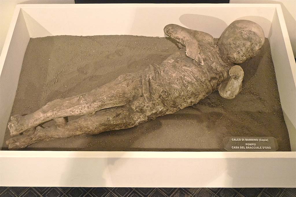 VI.17.42 Pompeii. Victim 53. Boscoreale Antiquarium 2011. Cast of a child found in 1978, in a corridor a few metres from the three other bodies.
Part of a group of four who died under the staircase. Photo courtesy of Michael Binns.