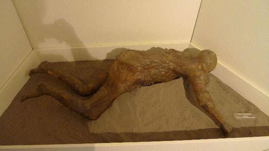Oplontis, Villa of Lucius Crassius Tertius. July 2010. Resin cast of a woman found in 1984. Rear view.
According to the Soprintendenza notice at Oplontis, this was a new technique using resin instead of plaster.
This gave a transparent result which allowed the bones, and the jewellery worn, to be seen.
Photo courtesy of Michael Binns.
According to Malandrino, During the excavation of the villa of L. Crasso Terzo there was also found the first victim from the Pagus Oplontino, of which it was possible to obtain a cast:
She was a young woman, adorned with armlet and gold earrings, affected by the poisonous fumes while she attempted to escape in a vain hope of salvation.
See Malandrino, C., 1981, Sylva Mala II, p. 3-4.
In 1994, some cast x-rays were carried out which confirmed that it was a female individual, but of mature age and not a girl as had previously been believed.
This new resin based technique allows you to make transparent casts, but the transparency is not long-lasting, as demonstrated by the current state of the cast, which has become opaque and darker in color.