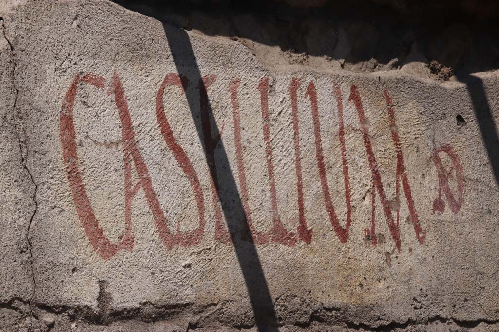 V.8, Pompeii. September 2021.
Looking north towards painted CASELLIUM graffiti on west end of south wall near the street shrine, on north side of Vicolo delle Nozze d’Argento.
Photo courtesy of Klaus Heese.