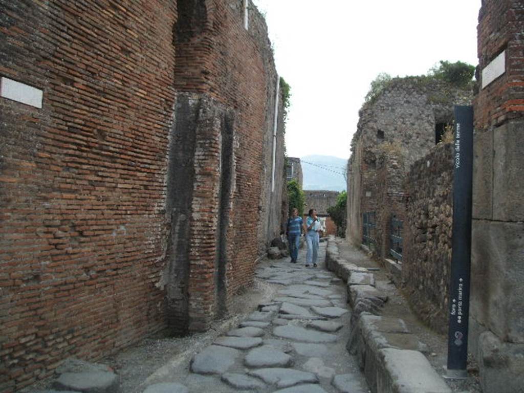 VII.5.8 Pompeii. Side wall. Remains of water tower with lead basin in niche.