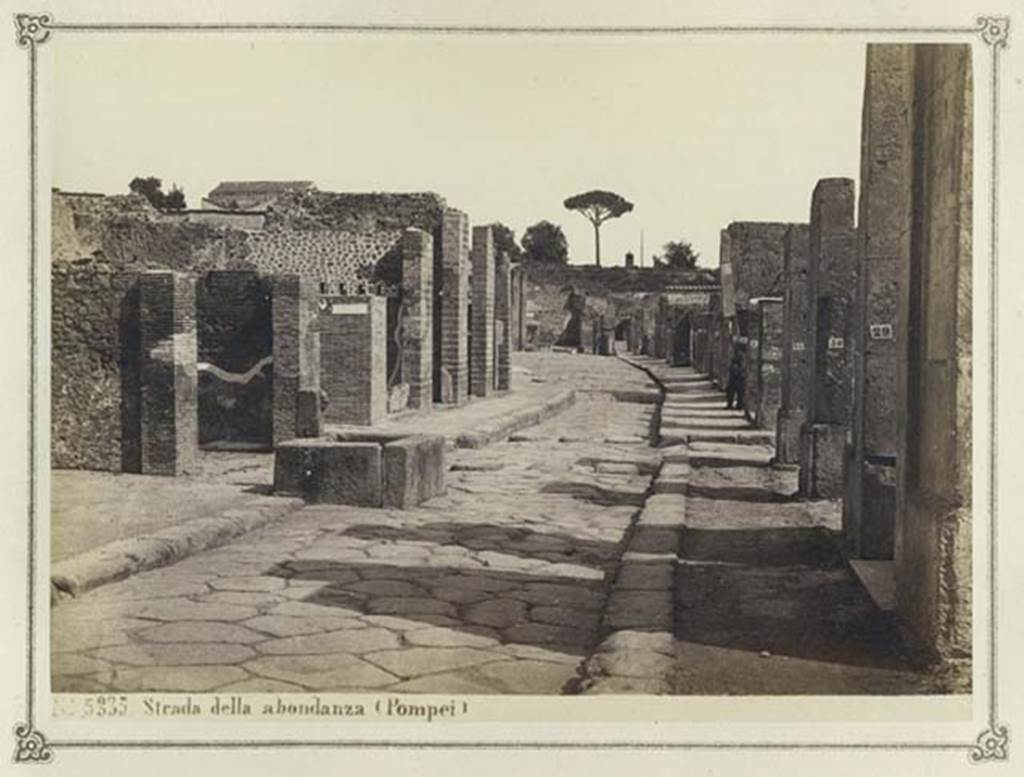 Fountain outside VII.14.13 and VII.14.14 on Via dell�Abbondanza. From an album dated February 1874. Looking east from near fountain.
In the distance is the �as-yet-unexcavated� area near Holconius crossroads. Photo courtesy of Rick Bauer.

In the distance is the �as-yet-unexcavated� area near Holconius crossroads. Photo courtesy of Rick Bauer.
