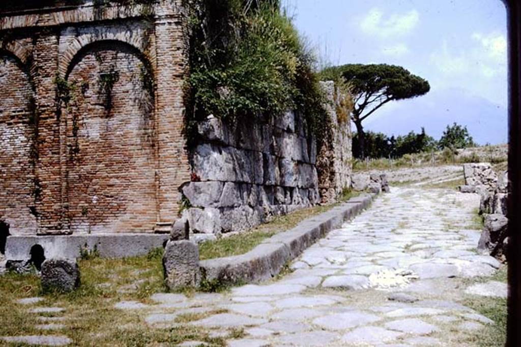 Vesuvian Gate, Pompeii. 1964. Looking north. Photo by Stanley A. Jashemski.
Source: The Wilhelmina and Stanley A. Jashemski archive in the University of Maryland Library, Special Collections (See collection page) and made available under the Creative Commons Attribution-Non Commercial License v.4. See Licence and use details.
J64f1617