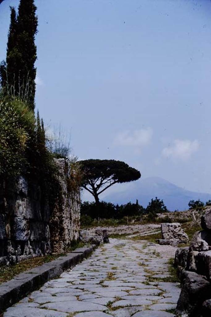 Vesuvian Gate, Pompeii. 1964. Looking north. Photo by Stanley A. Jashemski.
Source: The Wilhelmina and Stanley A. Jashemski archive in the University of Maryland Library, Special Collections (See collection page) and made available under the Creative Commons Attribution-Non Commercial License v.4. See Licence and use details.
J64f1618