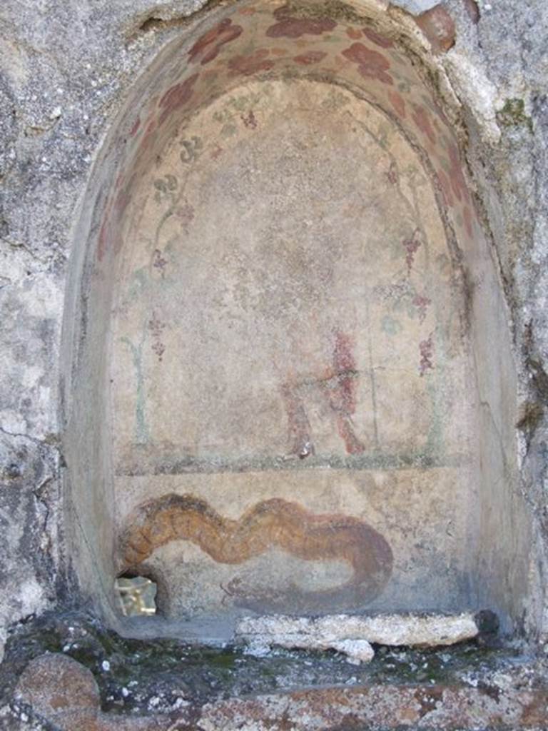 I.12.16 Pompeii. March 2009. Room 1. Atrium. South wall. Niche. On the back wall stands Bacchus wearing a red mantel and holding a Thyrsus. Underneath is a painted brown serpent that appears to come from a real hole in the bottom left corner. See Fröhlich, T., 1991. Lararien und Fassadenbilder in den Vesuvstädten. Mainz: von Zabern. (L28, T:29,1).