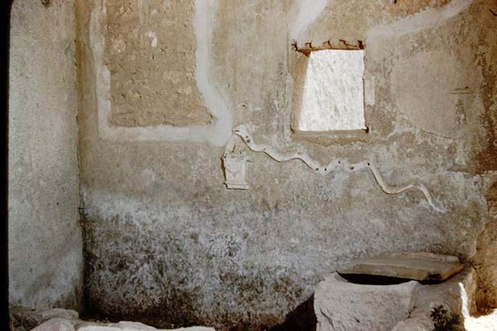 I.16.3 Pompeii. 1959. Looking towards south wall, east corner of small garden/pool.
The stucco relief serpent, with a small altar below the head of the serpent, can both be seen.
At the foot of the wall was a garden painting. Photo by Stanley A. Jashemski.
Source: The Wilhelmina and Stanley A. Jashemski archive in the University of Maryland Library, Special Collections (See collection page) and made available under the Creative Commons Attribution-Non Commercial License v.4. See Licence and use details.
J59f0506