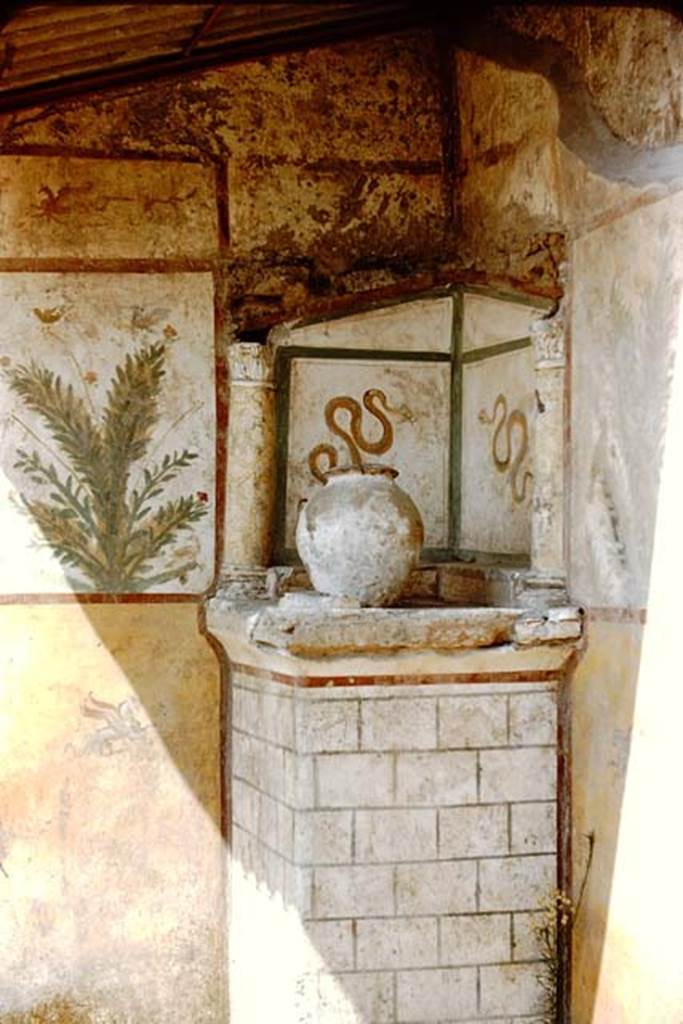 I.16.4 Pompeii. 1959. Lararium, with detail of garden painting in the north-west corner of the atrium. Photo by Stanley A. Jashemski.
Source: The Wilhelmina and Stanley A. Jashemski archive in the University of Maryland Library, Special Collections (See collection page) and made available under the Creative Commons Attribution-Non Commercial License v.4. See Licence and use details.
J59f0216